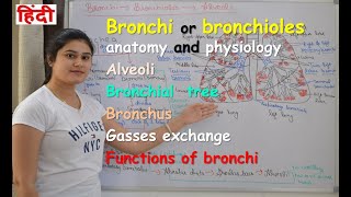 Bronchi anatomy amp physiology in hindi  bronchial tree  bronchioles  alveoli  gases exchange [upl. by Ahsym]