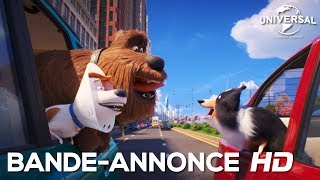 Comme Des Bêtes 2  Bandeannonce VOST Au cinéma le 31 juillet 2019 [upl. by Ailhad]