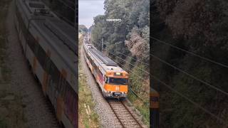 S477 próxima parada Tordera Saludo Hattrick del maquinista 📢 🔊🖐🏻 trains train trainshorts [upl. by Ardnikat]