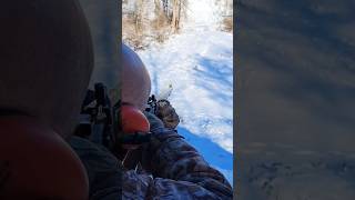 50 cal TC Hawken muzzleloader guns shooting rifle hunting [upl. by Aveline369]