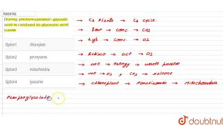 During photorespiration glycolic acid is oxidised to glyoxylic acid inside [upl. by Ojibbob]