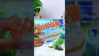 Today I will teach you how fishbowl fishtank fish aquascapers fishaquarium aquascaping [upl. by Andonis]