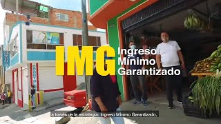 Ingreso Mínimo Garantizado [upl. by Stoddart]