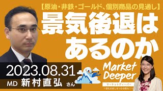 【原油・非鉄・ゴールド、個別商品の見通し】景気後退はあるのか（新村直弘さん） マーケットディーパー [upl. by Hagi]