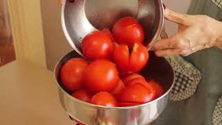 Imperia Spremy 14 HP Electric Tomato Strainer [upl. by Yodlem]