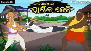 ChhadaKhaire Plastic Chheli Chhadakhai  Plastic goat  Goat Comedy Odia Gapa Funny goat [upl. by Stochmal47]