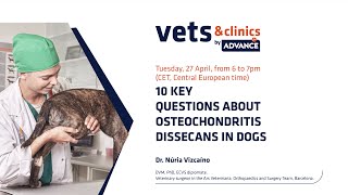 4 INT  10 Key Questions about Osteochondritis Dissecans in Dogs [upl. by Ahsenroc]