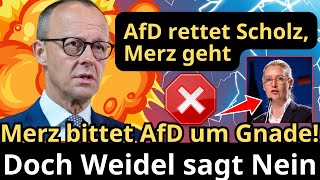 Friedrich Merz wird von Weidel klar abgelehnt Scholz bleibt Merz muss gehen [upl. by Akehsat517]