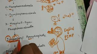 Tricks Mnemonics to remember Biosynthesis of Cholesterol [upl. by Wilton]