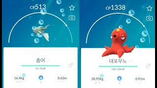 포켓몬고 총어 진화 대포무노 Remoraid Octillery Pokémon GO [upl. by Steinman]