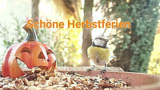 Schöne Herbstferien [upl. by Vasily313]