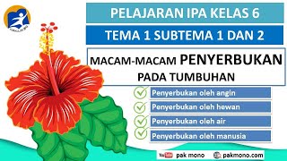 IPA Kelas 6 Tema 1 Subtema 1 dan 2  JenisJenis Penyerbukan pada Tumbuhan [upl. by Ylagam]