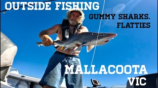 Solo Tinny Fishing Outside Mallacoota Vic [upl. by Eislel]