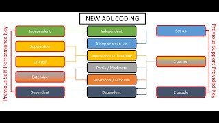 Functional Abilities Section GG CNA ADL Training Updated Video [upl. by Able710]