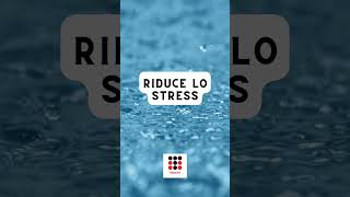 La Meditazione Riduce lo Stress Scopri i Benefici per la Mente [upl. by Corb]