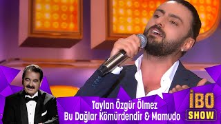 Taylan Özgür Ölmez  BU DAĞLAR KÖMÜRDENDİR amp MAMUDO [upl. by Ettevol]