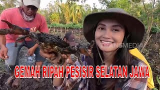 FULL GEMAH RIPAH PESISIR SELATAN JAWA  JEJAK PETUALANG 260624 [upl. by Zacharias867]