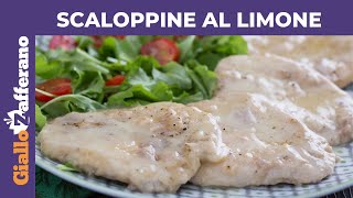 SCALOPPINE AL VINO BIANCO  Video Ricetta  Grigio Chef [upl. by Eylk569]