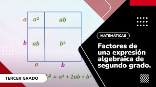 15 Factores de una expresión algebraica de segundo grado [upl. by Nan]