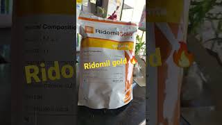 ridomil gold syngenta Ridomil gold fungicide syngenta fungicides farmer [upl. by Yelwar717]