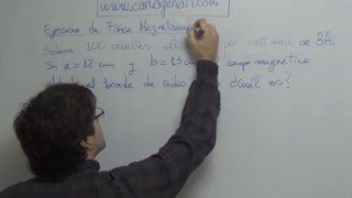 Ejercicio de Física asignatura de Electromagnetismo Campo magnético creado por un toroide [upl. by Llemrej]