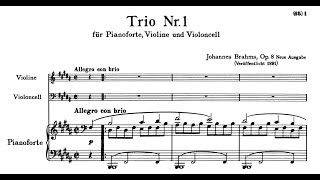 Johannes Brahms  Piano Trio No 1 in B Major Op 8 [upl. by Arnie]