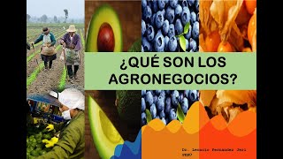 QUÉ SON LOS AGRONEGOCIOS [upl. by Olumor]