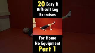 20 Leg Exercises For Home Training  Part 1 [upl. by Enaitsirk]