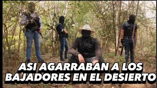 ASI ATRAPABAN A LOS BAJADORES EN EL DESIERTO 🏜️🌵 [upl. by Hsakaa]