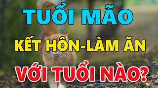 TUỔI MÃO chọn KẾT HÔN LÀM ĂN với những tuổi này KHÔNG GIÀU SANG THÌ CŨNG PHÚ QUÝ [upl. by Hurleigh]