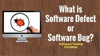 What is Software Defect or Software Bug Software Testing Tutorial 22 [upl. by Avigdor]