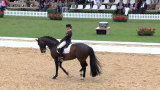 1 Platz Victoria MaxTheurer Competition 04  Grand Prix de Dressage [upl. by Tirrell81]