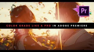 COLOR GRADE Like A PRO In Adobe Premiere Pro [upl. by Zulaledairam]