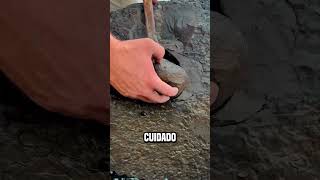 lo que sale de la piedra😮 shortsvideo [upl. by Elumas349]