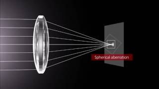 How Lenses Function [upl. by Tioneb613]