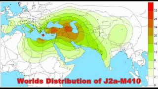 The TRUTH about The Haplogroup J YDNA [upl. by Kanal429]