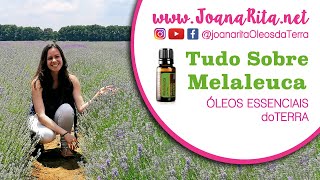 Tudo sobre a Melaleuca doTERRA 💦 óleo essencial Tea Tree ✨ Árvore do chá [upl. by Asher]