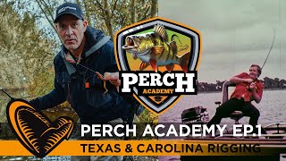 Perch Academy  Episode 1  Texas amp Carolina rigging [upl. by Horodko530]