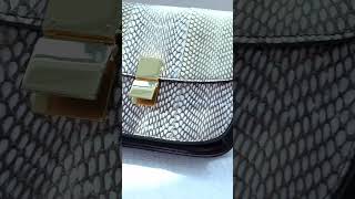 Celine Classic Box Shoulder Bag The Ultimate Luxe Accessory Review [upl. by Sorilda255]