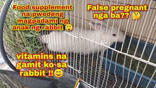 False pregnancy ba ang doe ko  Synedrella nodiflora leaves  multivitamins for rabbits [upl. by Gentilis554]