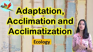 Adaptation Acclimatization and Acclimation I Ecology I CSIR NET I GATE I NEET I IITJAM I GATB [upl. by Olson449]