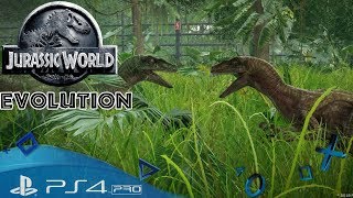 Jurassic World PS4 🇩🇪 Raptoren Zucht Let´s Play Jurassic World EVOLUTION Playstation 4 [upl. by Woodberry126]