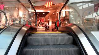 Schindler escalators in shopping mall [upl. by Isidore845]