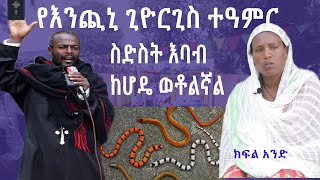 የእንጪኒ ጊዮርጊስ ተዓምር ስድስት እባብ ከሆዴ ወቶልኛልMahber Media ማህበር ሚዲያ [upl. by Aket]