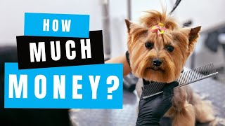 How Much Money Can You Make Owning a Dog Grooming Business [upl. by Dorise]