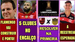 PAES COMPRA BRIGA E GARANTE ESTADIO FLAMENGO NO GASÔMETRO NADA MAIS SERÁ IMPEDITIVO [upl. by Hogan]