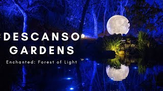 Descanso Gardens Enchanted Forest of Lights 2021 [upl. by Nyrrat]