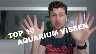 TOP 10 MEEST AGRESSIEVE AQUARIUM VISSEN 5 [upl. by Catina694]