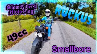 2024 Honda Ruckus Small Bore 49cc Riding Is So Much Fun [upl. by Calypso]