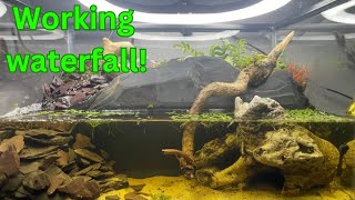 Paludarium with working waterfall paludariumamphibians [upl. by Ayahsey]